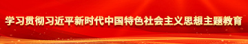 操逼逼小视频学习贯彻习近平新时代中国特色社会主义思想主题教育